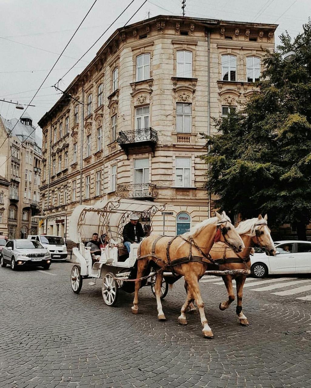 Staroevreyskaapart Львов Экстерьер фото